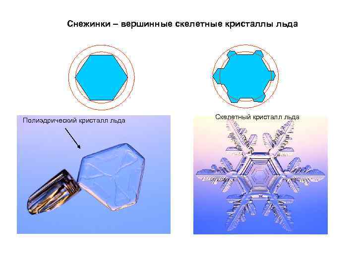Снежинки – вершинные скелетные кристаллы льда Полиэдрический кристалл льда Скелетный кристалл льда 