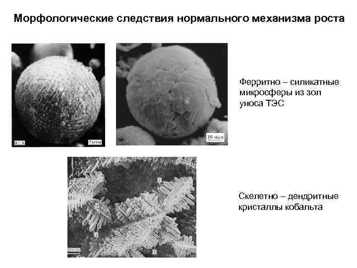 Морфологические следствия нормального механизма роста Ферритно – силикатные микросферы из зол уноса ТЭС Скелетно