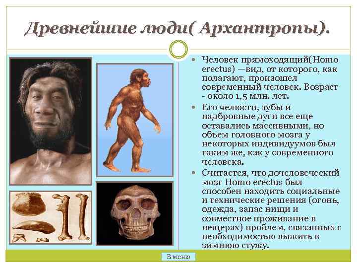 Древнейшие люди( Архантропы). Человек прямоходящий(Homo erectus) —вид, от которого, как полагают, произошел современный человек.