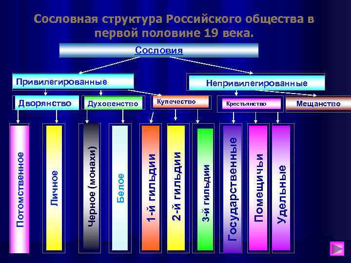 Сословная структура Российского общества в первой половине 19 века. Сословия Привилегированные Мещанство Удельные Помещичьи