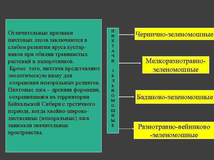 Отличительные признаки пихтовых лесов заключаются в слабом развитии яруса кустарников при обилии травянистых растений