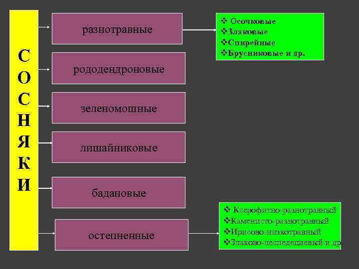 разнотравные С О С Н Я К И v Осочковые v. Злаковые v. Спирейные