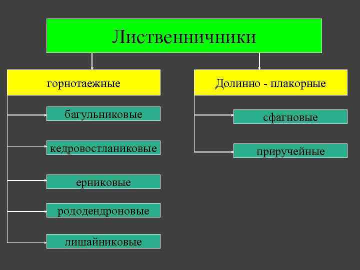 Лиственничники горнотаежные Долинно - плакорные багульниковые сфагновые кедровостланиковые приручейные ерниковые рододендроновые лишайниковые 