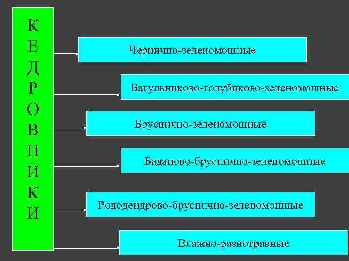 К Е Д Р О В Н И К И Чернично-зеленомошные Багульниково-голубиково-зеленомошные Бруснично-зеленомошные Баданово-бруснично-зеленомошные