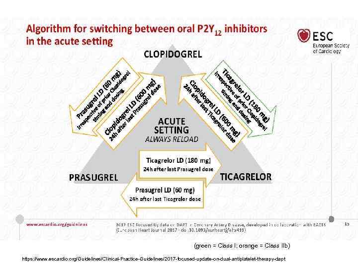 (green = Class I; orange = Class IIb) https: //www. escardio. org/Guidelines/Clinical-Practice-Guidelines/2017 -focused-update-on-dual-antiplatelet-therapy-dapt 