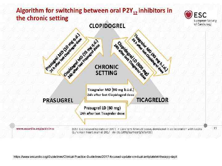 https: //www. escardio. org/Guidelines/Clinical-Practice-Guidelines/2017 -focused-update-on-dual-antiplatelet-therapy-dapt 