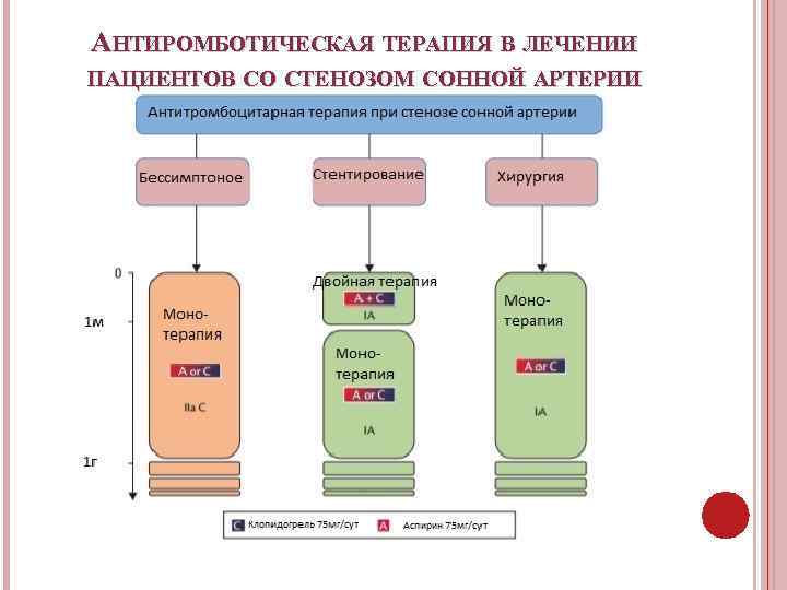 АНТИРОМБОТИЧЕСКАЯ ТЕРАПИЯ В ЛЕЧЕНИИ ПАЦИЕНТОВ СО СТЕНОЗОМ СОННОЙ АРТЕРИИ 