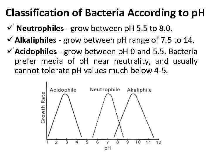 Classification of Bacteria According to p. H ü Neutrophiles - grow between p. H