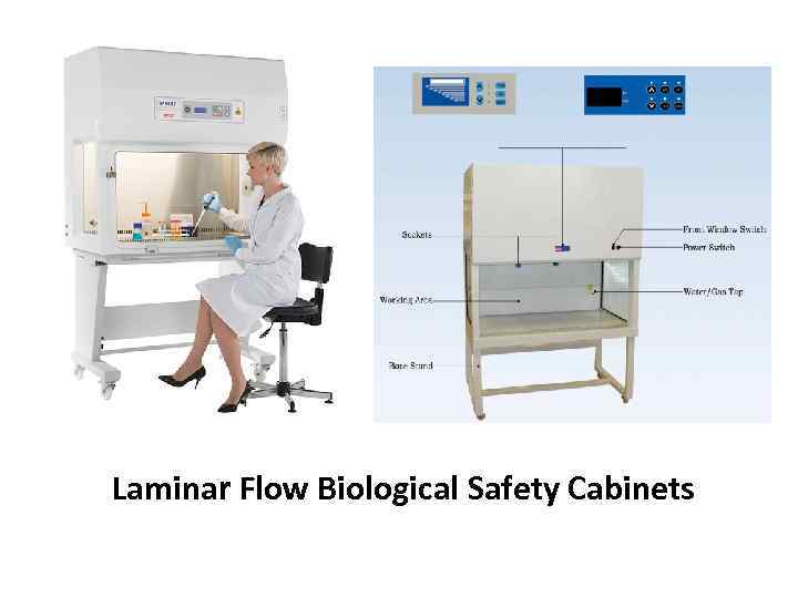 Laminar Flow Biological Safety Cabinets 