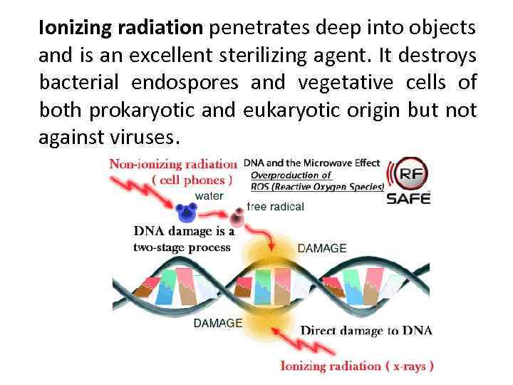 Ionizing radiation penetrates deep into objects and is an excellent sterilizing agent. It destroys