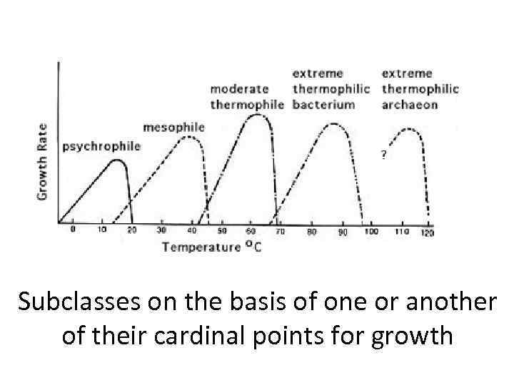 Subclasses on the basis of one or another of their cardinal points for growth