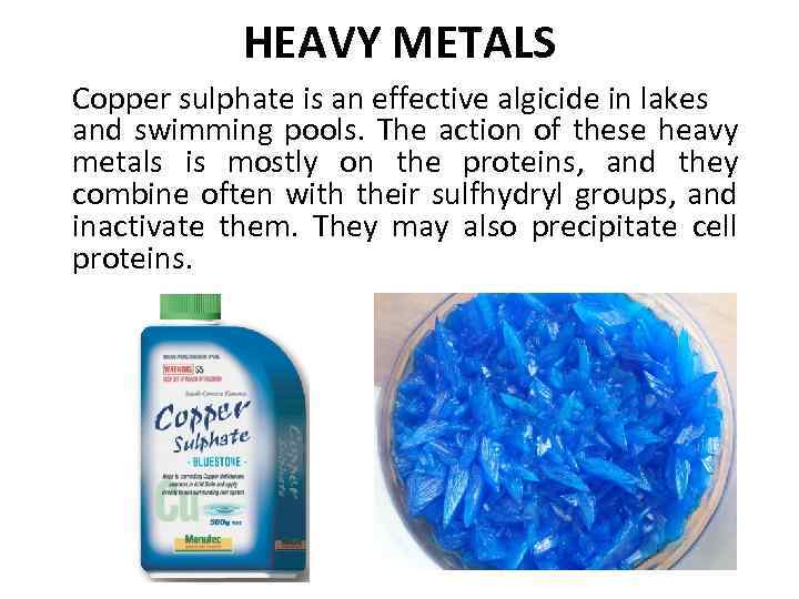 HEAVY METALS Copper sulphate is an effective algicide in lakes and swimming pools. The