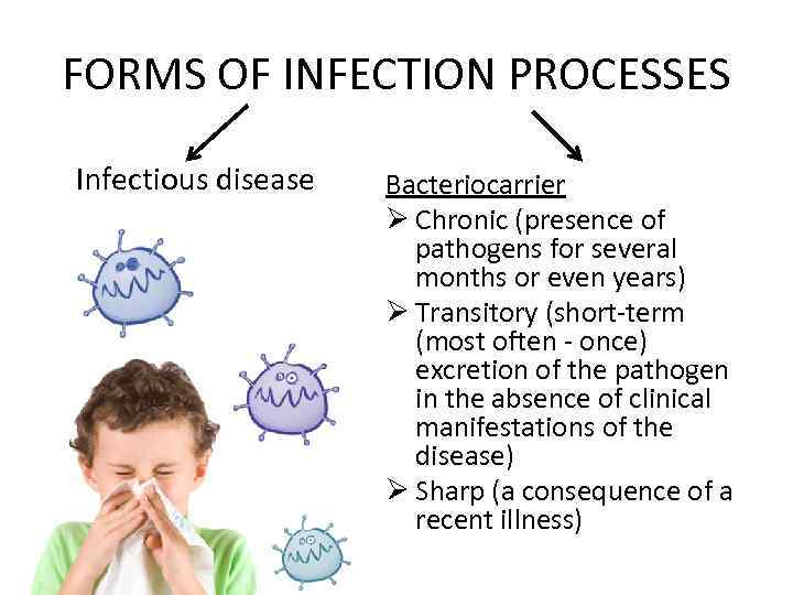 FORMS OF INFECTION PROCESSES Infectious disease Bacteriocarrier Ø Chronic (presence of pathogens for several