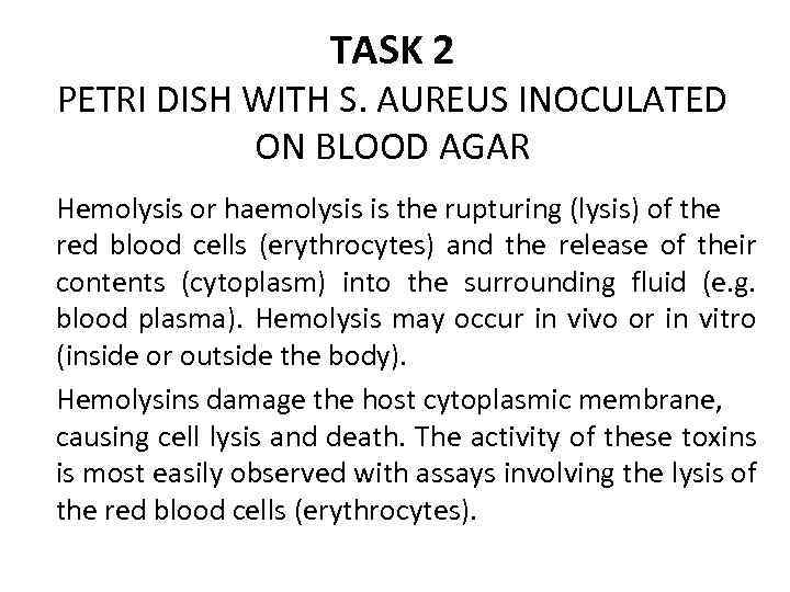 TASK 2 PETRI DISH WITH S. AUREUS INOCULATED ON BLOOD AGAR Hemolysis or haemolysis