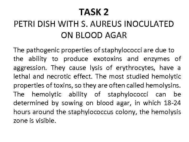 TASK 2 PETRI DISH WITH S. AUREUS INOCULATED ON BLOOD AGAR The pathogenic properties
