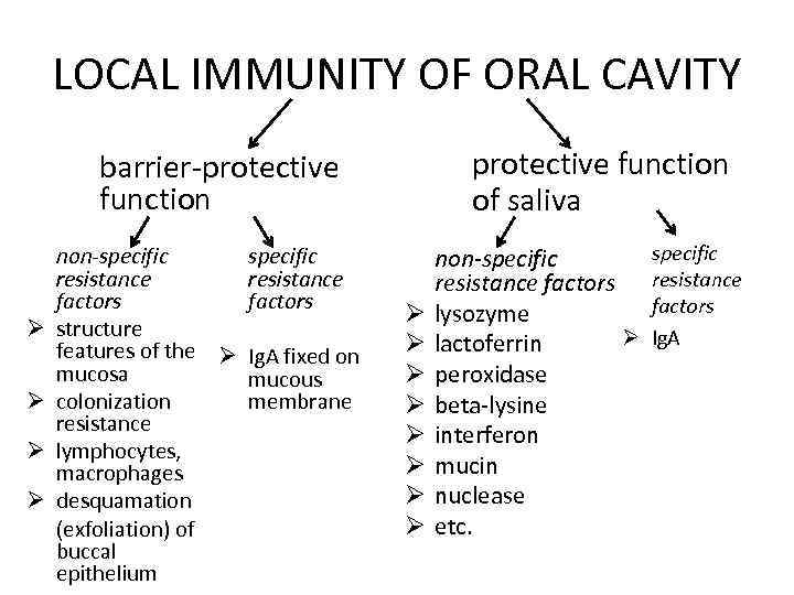 LOCAL IMMUNITY OF ORAL CAVITY protective function of saliva barrier-protective function Ø Ø non-specific