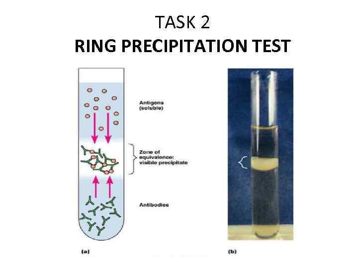 TASK 2 RING PRECIPITATION TEST 