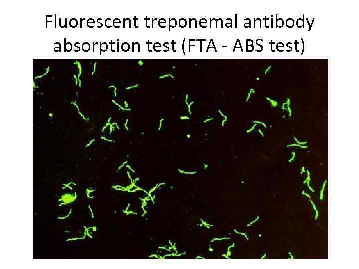 Fluorescent treponemal antibody absorption test (FTA - ABS test) 