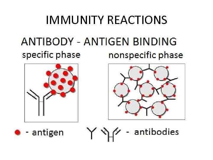 IMMUNITY REACTIONS 