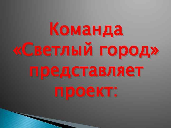 Команда «Светлый город» представляет проект: 