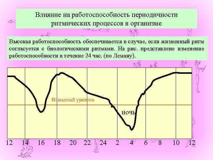 Влияние на работоспособность периодичности ритмических процессов в организме Высокая работоспособность обеспечивается в случае, если