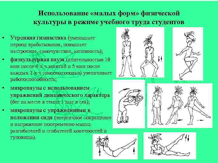 Использование «малых форм» физической культуры в режиме учебного труда студентов • Утренняя гимнастика (уменьшает