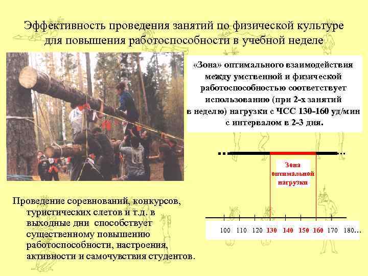 Эффективность проведения занятий по физической культуре для повышения работоспособности в учебной неделе «Зона» оптимального