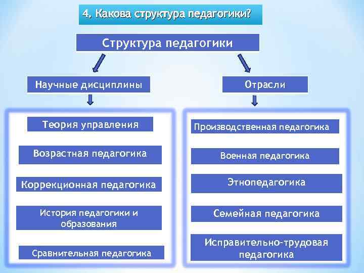 4. Какова структура педагогики? Структура педагогики Научные дисциплины Теория управления Отрасли Производственная педагогика Возрастная