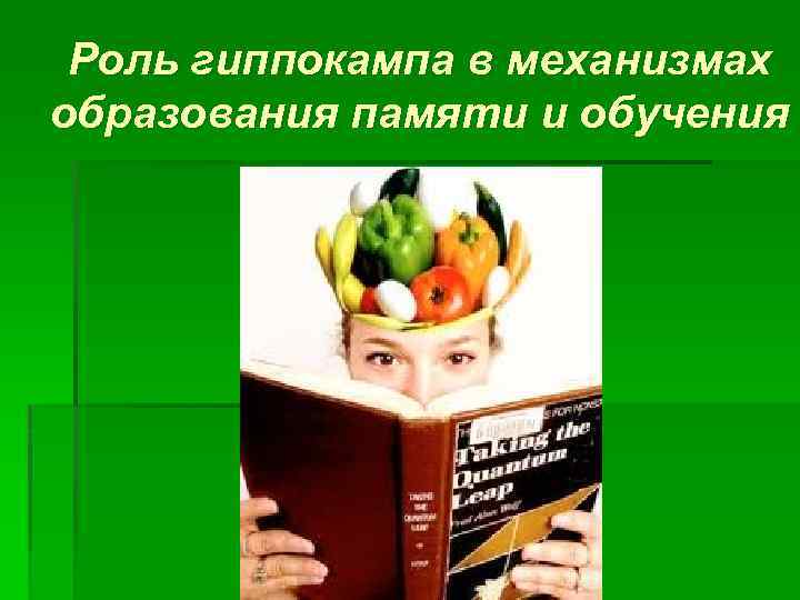 Роль гиппокампа в механизмах образования памяти и обучения 