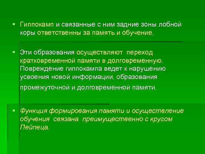 § Гиппокамп и связанные с ним задние зоны лобной коры ответственны за память и
