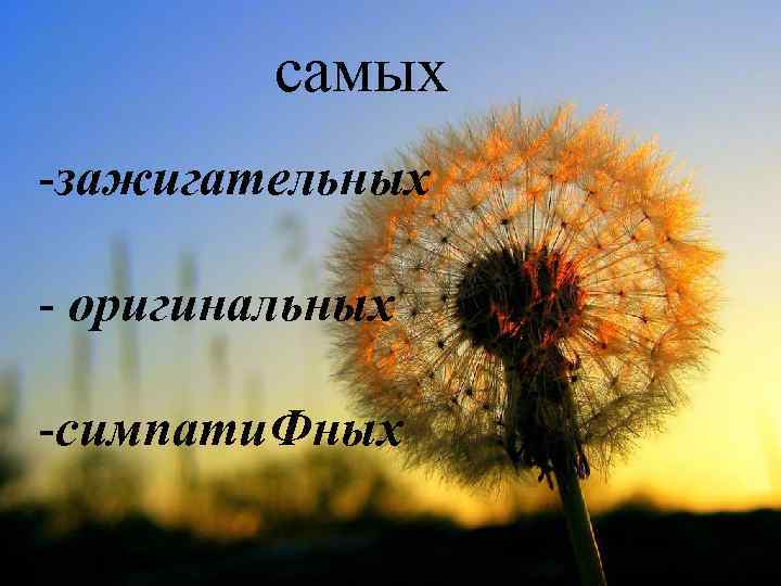 Самых самых • - зажигательных -зажигательных • - оригинальных • - симпатичных - оригинальных