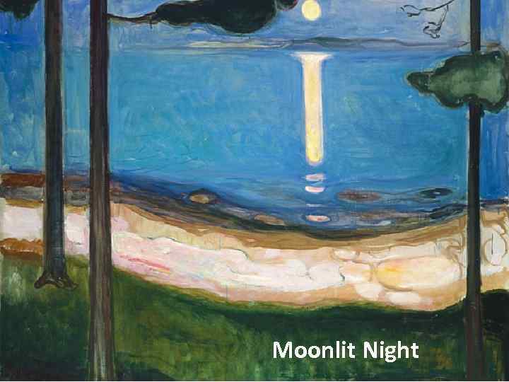 Moonlit Night 