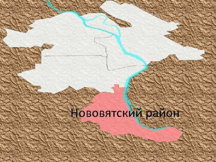 Нововятский район 