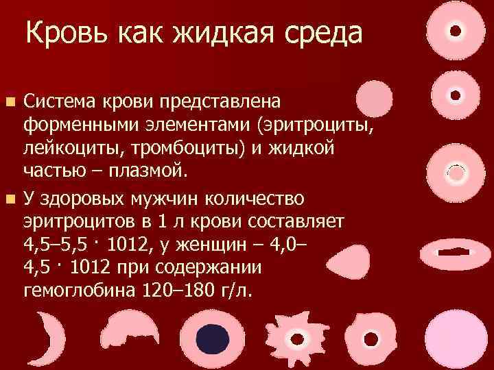 Кровь как жидкая среда Система крови представлена форменными элементами (эритроциты, лейкоциты, тромбоциты) и жидкой