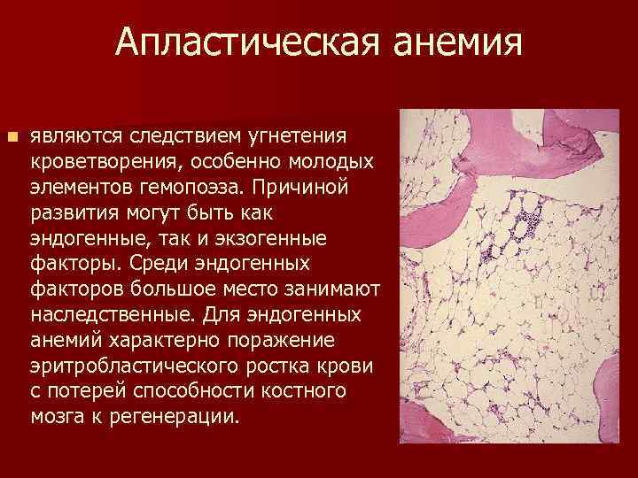 Апластическая анемия n являются следствием угнетения кроветворения, особенно молодых элементов гемопоэза. Причиной развития могут