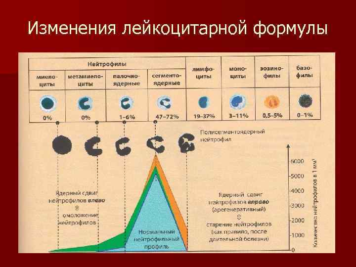 Изменения лейкоцитарной формулы 