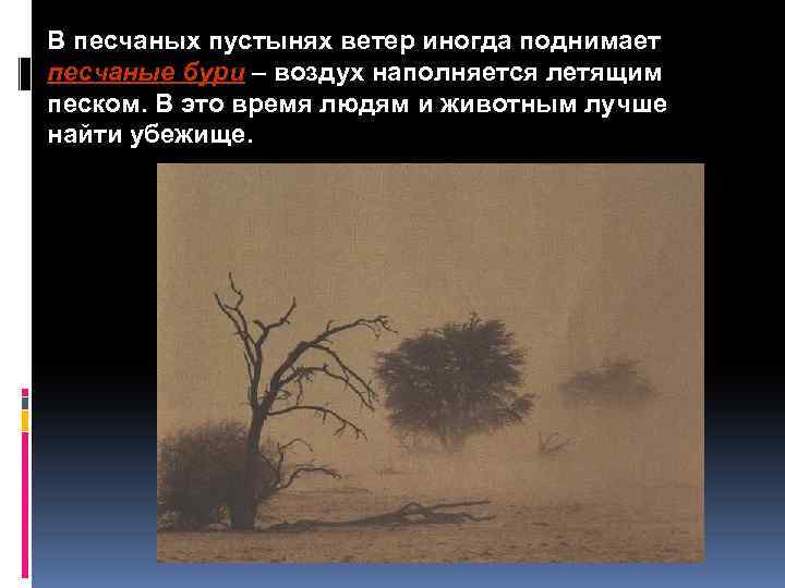 В песчаных пустынях ветер иногда поднимает песчаные бури – воздух наполняется летящим песком. В