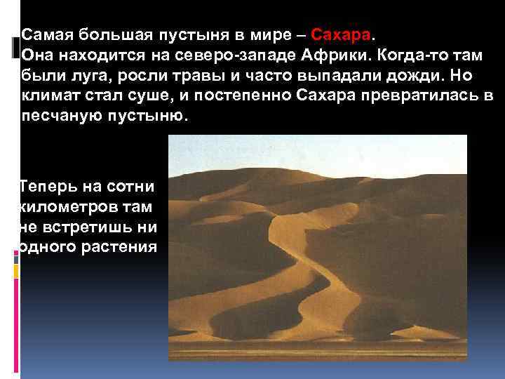 Самая большая пустыня в мире – Сахара. Она находится на северо-западе Африки. Когда-то там