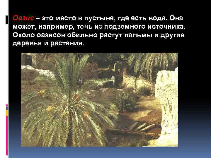 Оазис – это место в пустыне, где есть вода. Она может, например, течь из