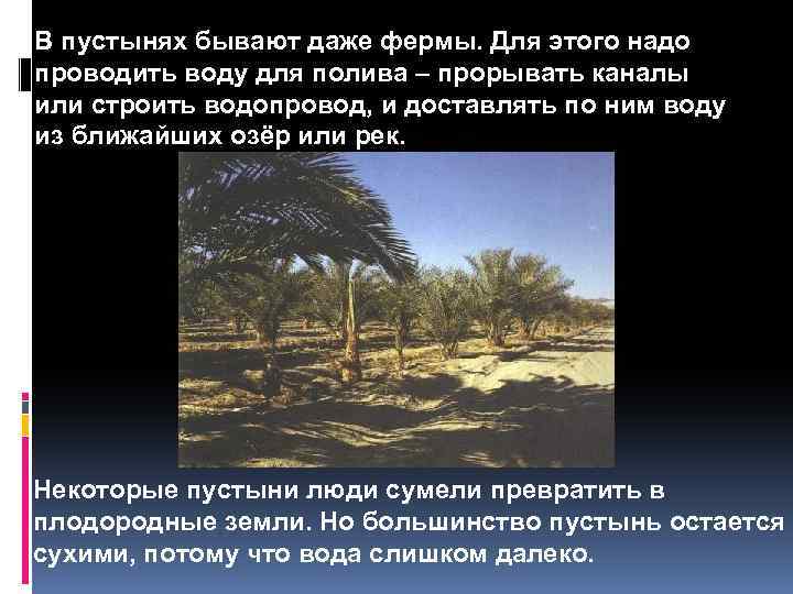 В пустынях бывают даже фермы. Для этого надо проводить воду для полива – прорывать