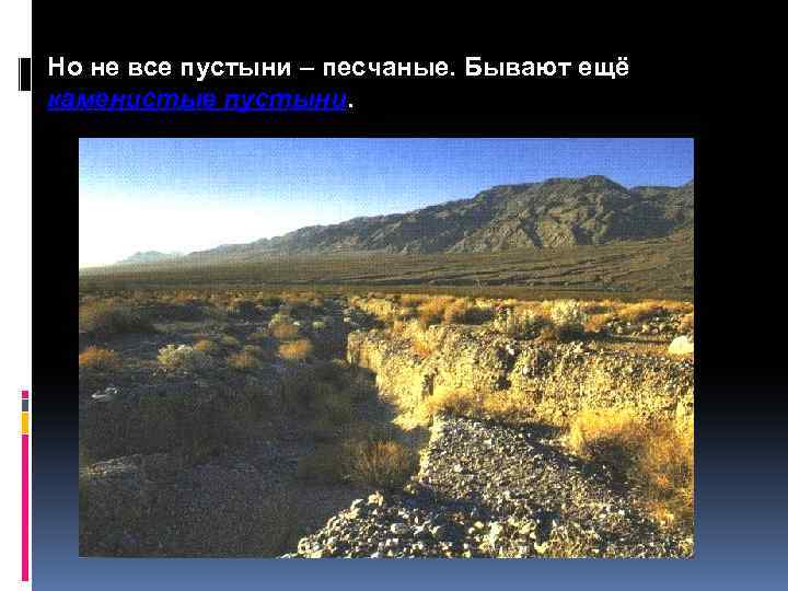 Но не все пустыни – песчаные. Бывают ещё каменистые пустыни. 