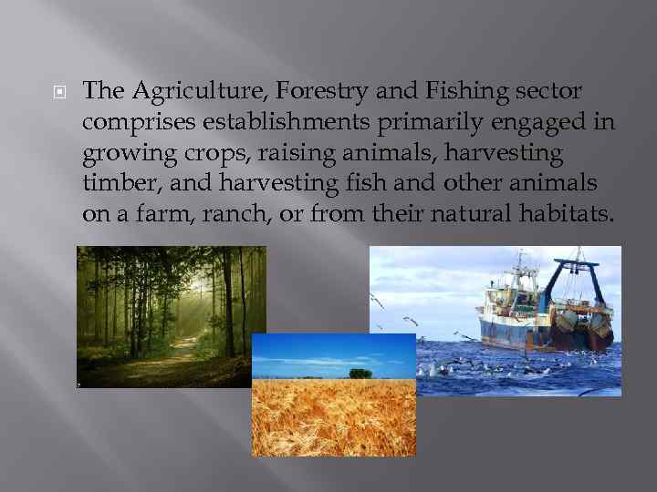  The Agriculture, Forestry and Fishing sector comprises establishments primarily engaged in growing crops,