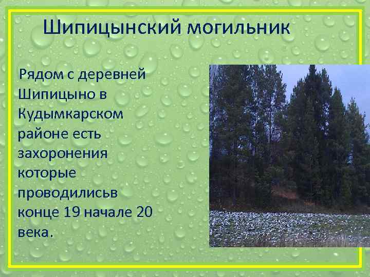 Шипицынский могильник Рядом с деревней Шипицыно в Кудымкарском районе есть захоронения которые проводилисьв конце