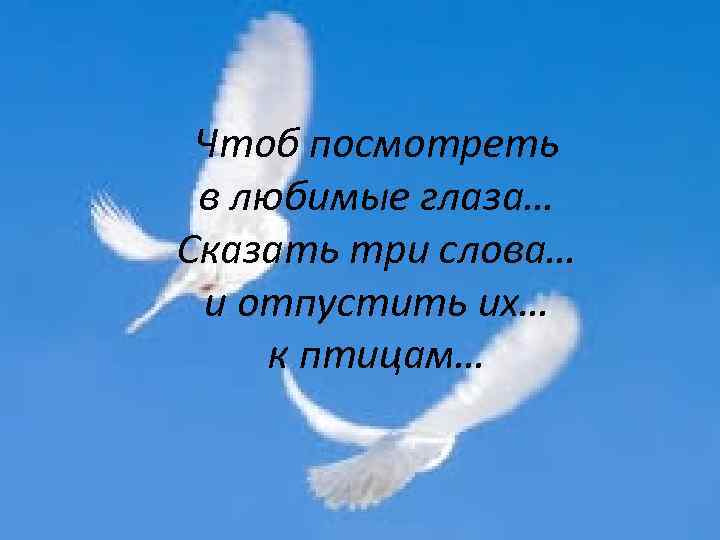 Чтоб посмотреть в любимые глаза… Сказать три слова… и отпустить их… к птицам… 