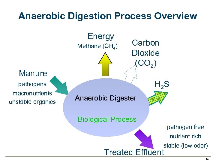 Anaerobic Digestion Process Overview Energy Methane (CH 4) Manure Carbon Dioxide (CO 2) H