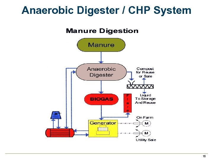 Anaerobic Digester / CHP System 16 