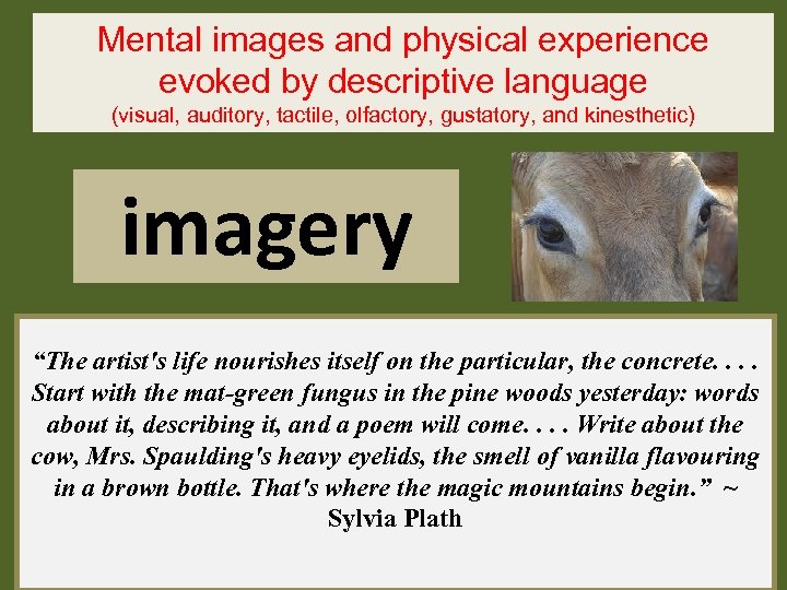 Mental images and physical experience evoked by descriptive language (visual, auditory, tactile, olfactory, gustatory,