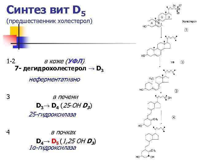 7 синтез. Синтез 7 дегидрохолестерола. Синтез витамина д из 7 дегидрохолестерола. Холестерол в 7 дегидрохолестерол. Из холестерола синтезируются витамин д.