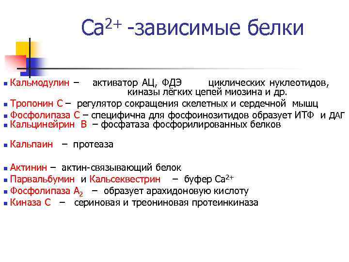 Са 2+ -зависимые белки n Кальмодулин – активатор АЦ, ФДЭ циклических нуклеотидов, киназы лёгких