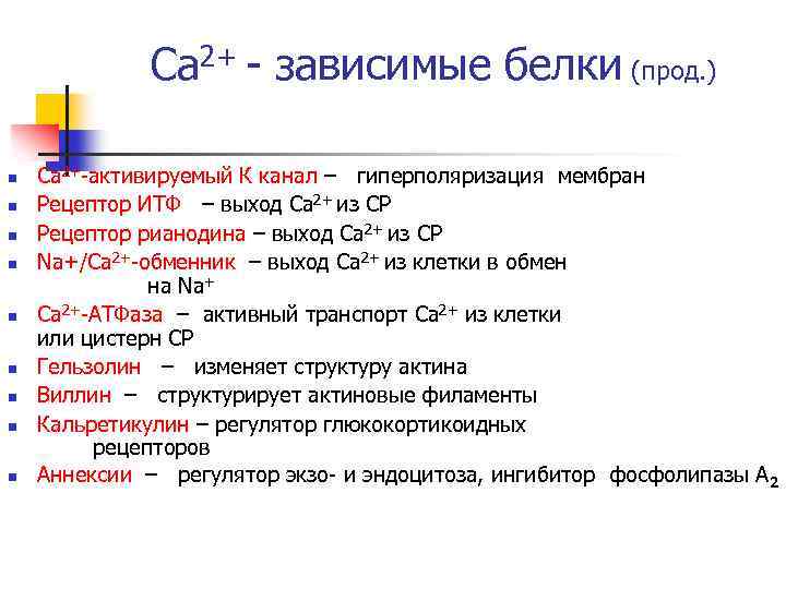 Са 2+ - зависимые белки (прод. ) n n n n n Са 2+-активируемый